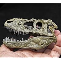 Amazon | ティラノサウルス・レックス T-レックス 頭骨 頭蓋骨